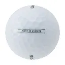 W43010c.webp